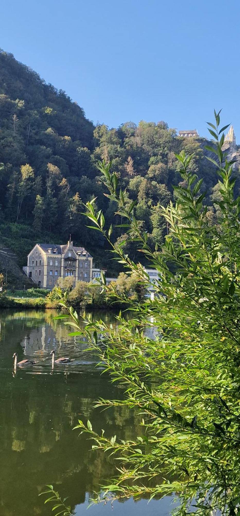Wohnwerk Altbau Suite Traben-Trarbach Kültér fotó
